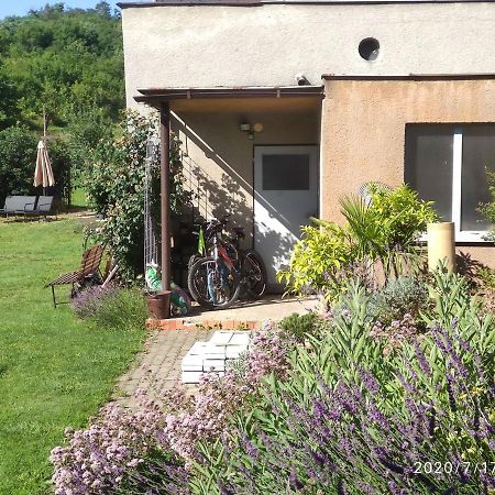Apartman Lenka II Borsice Zewnętrze zdjęcie